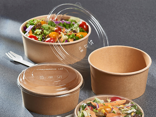 Paper Salad Bowl