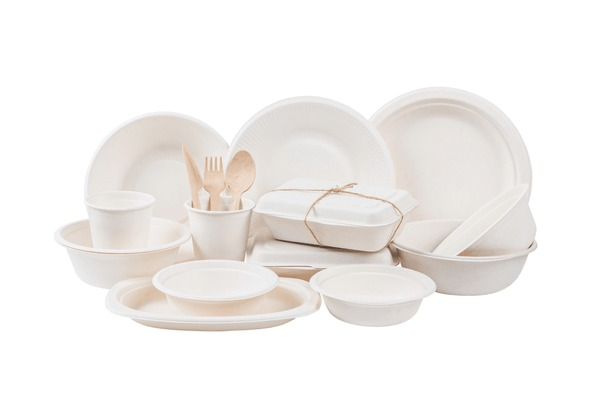 Sugarcane Bagasse Tableware